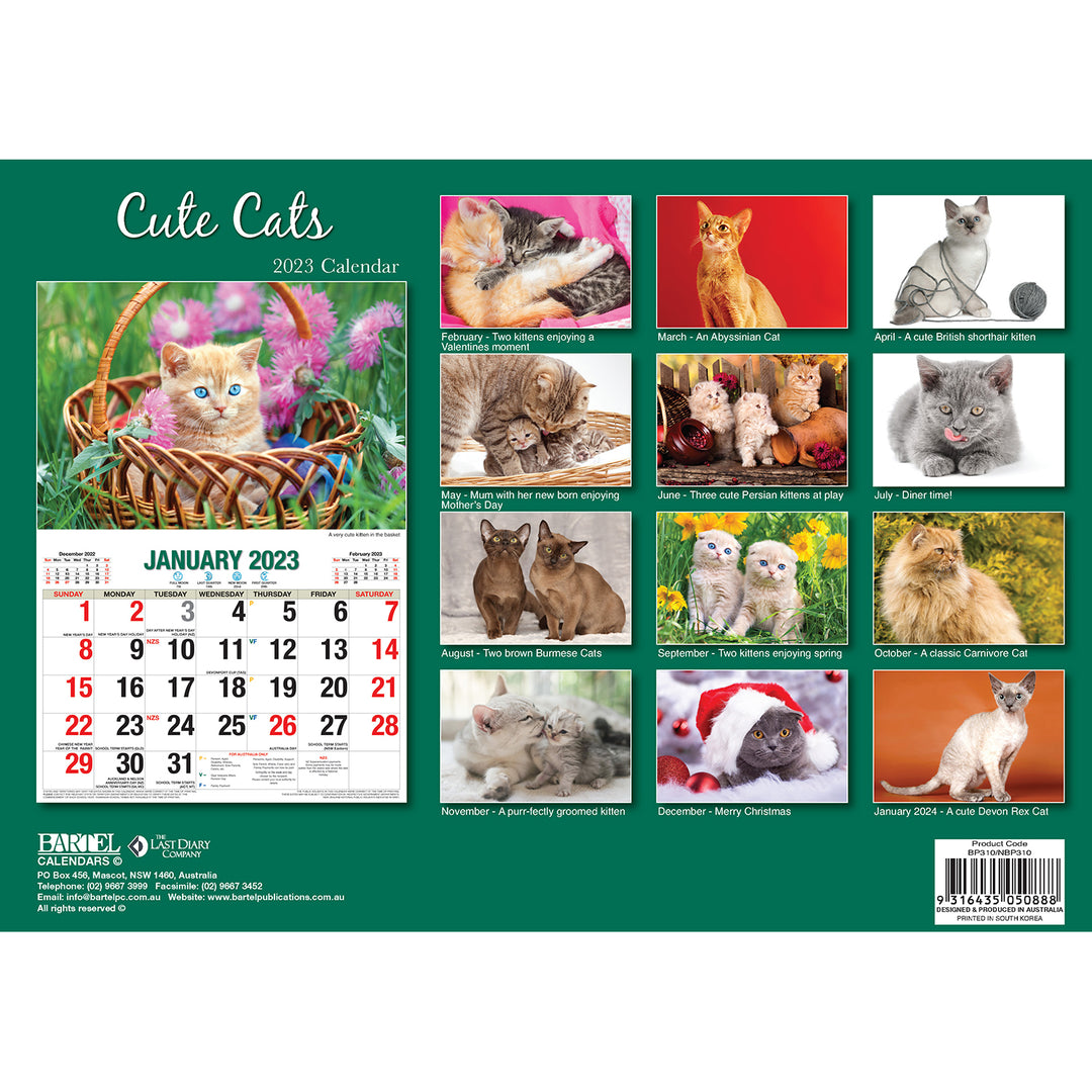 Cute Cats 2023 Rectangle Wall Calendar 16 Months Planner New Year Christmas Gift