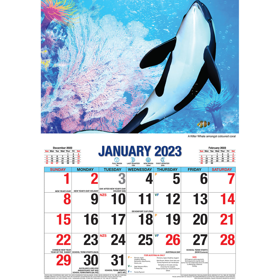 Ocean Wild – 2023 Rectangle Wall Calendar 16 Months Planner New Year Gift