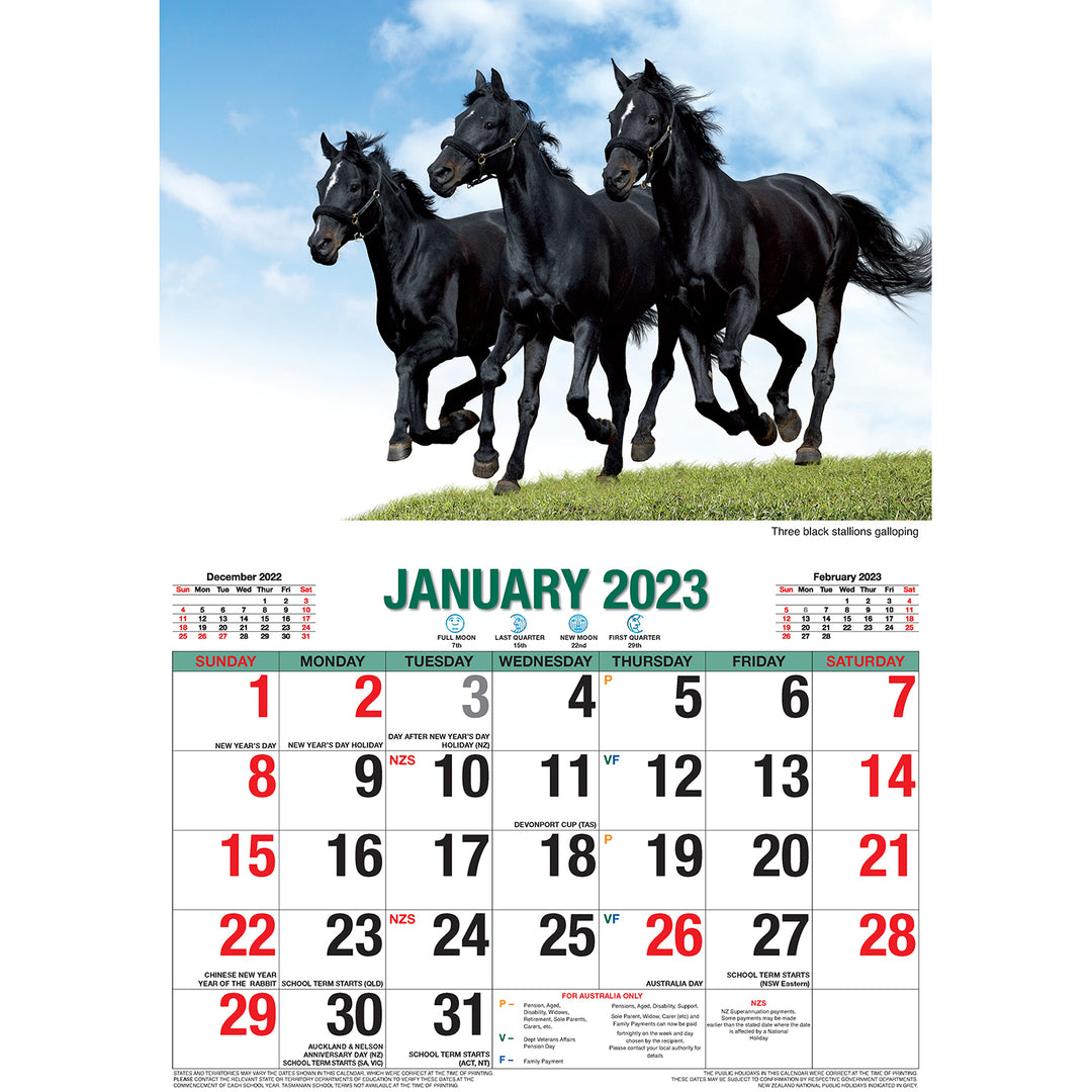 Horses – 2023 Rectangle Wall Calendar 16 Months Planner New Year Christmas Gift