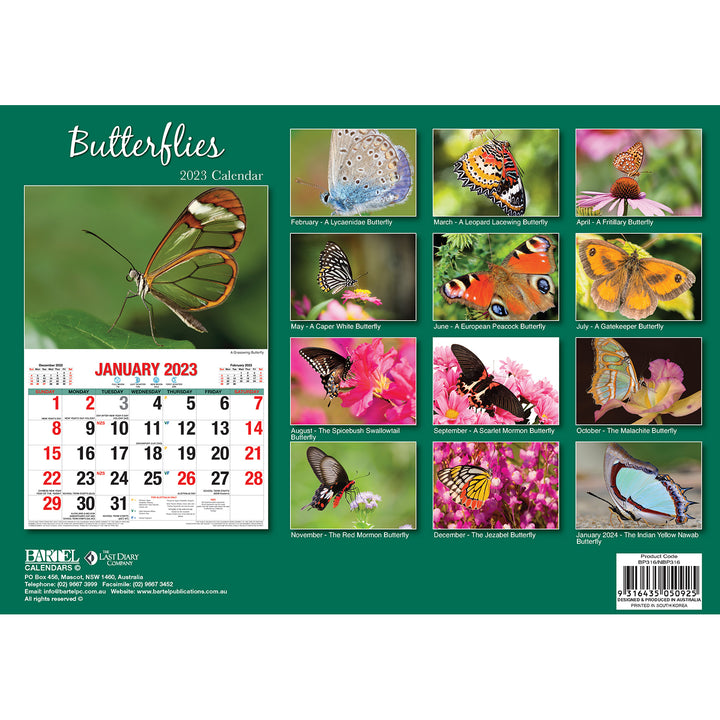 Butterflies – 2023 Rectangle Wall Calendar 16 Months Planner New Year Gift