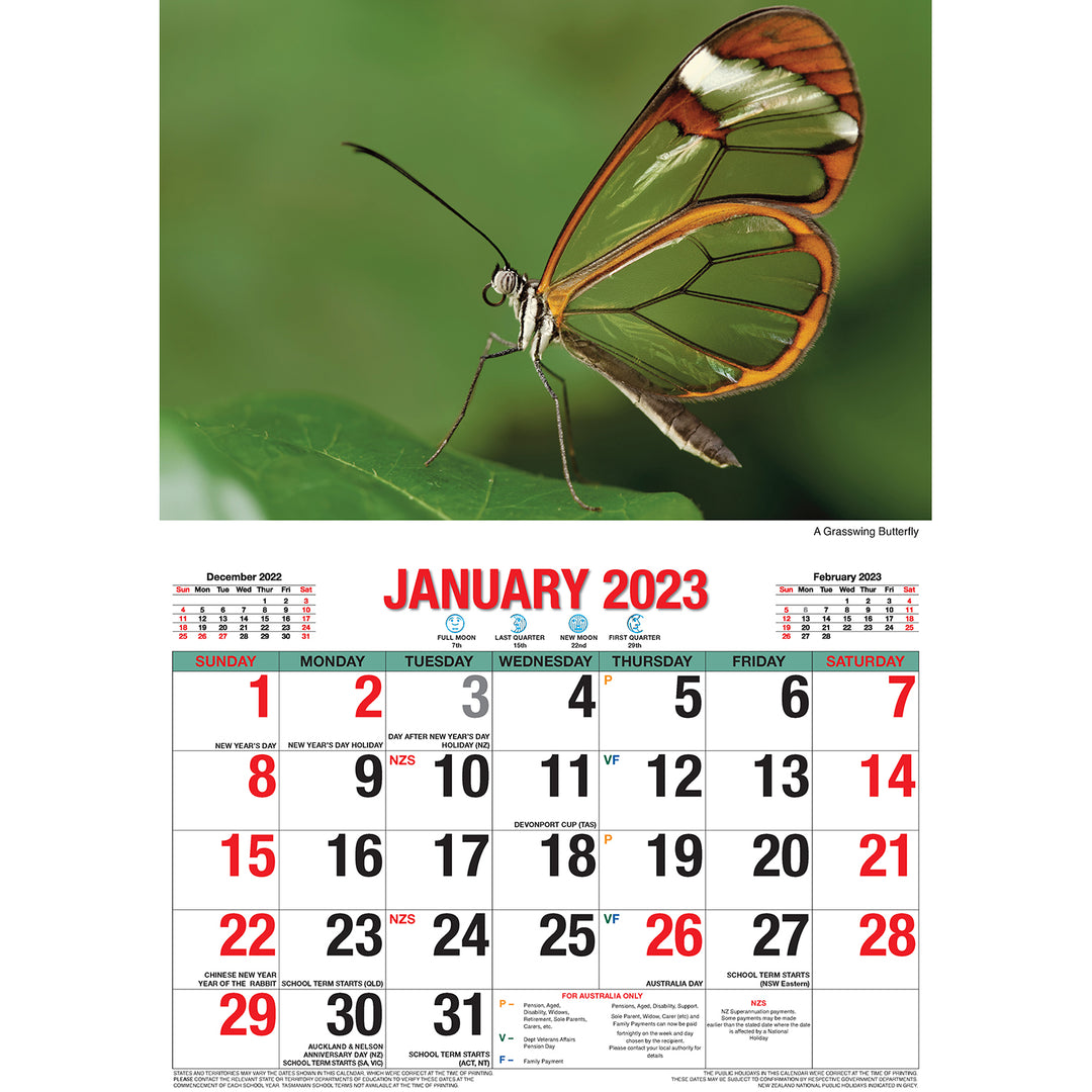 Butterflies – 2023 Rectangle Wall Calendar 16 Months Planner New Year Gift