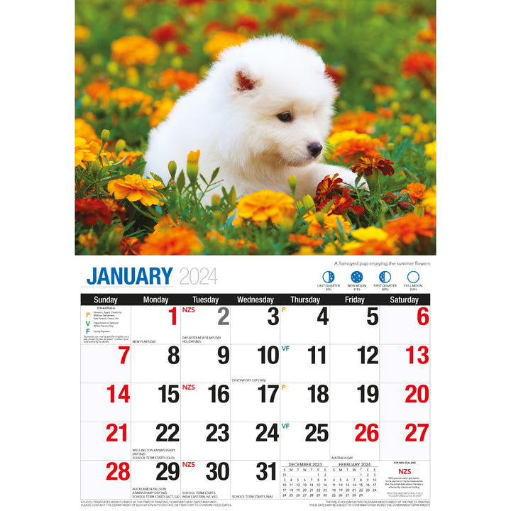 Adorable Dogs 2024 Rectangle Wall Calendar 16 Months Planner Cute Animal Photos