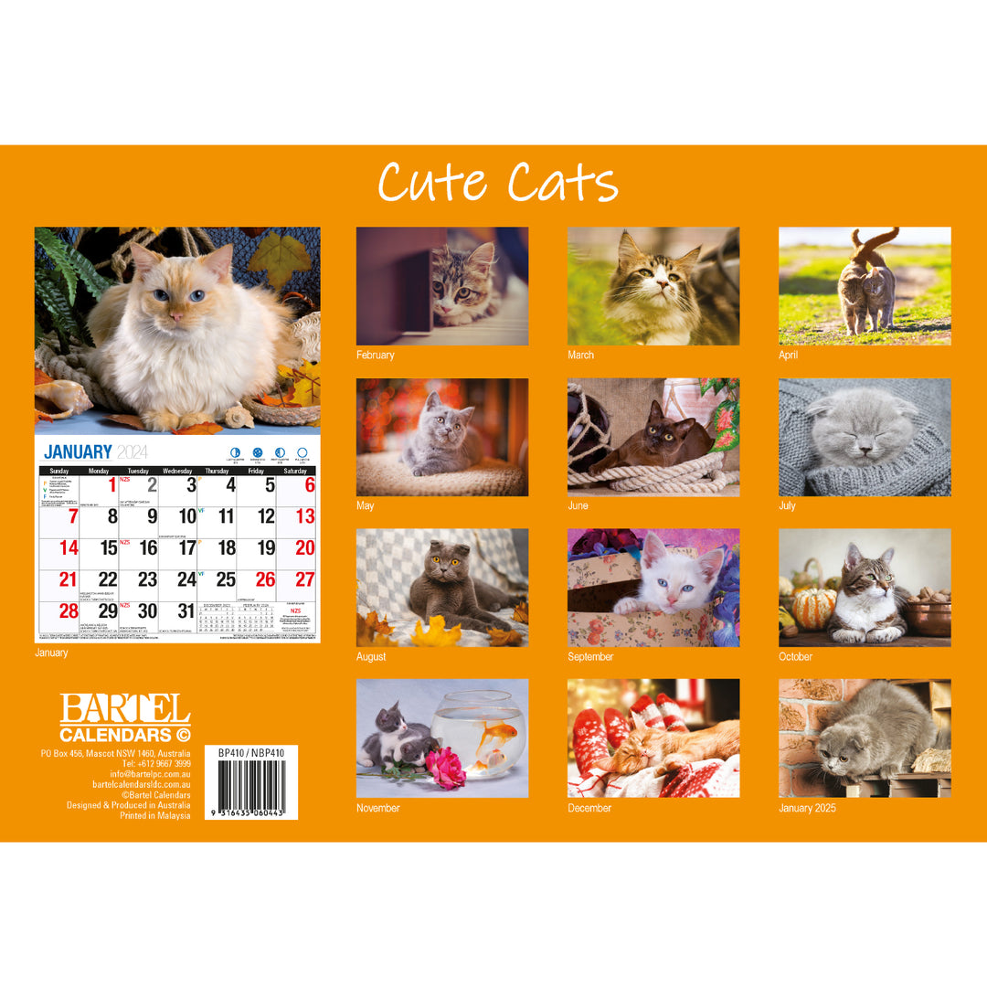 Cute Cats - 2024 Rectangle Wall Calendar 16 Months Planner Animal Pets Photos