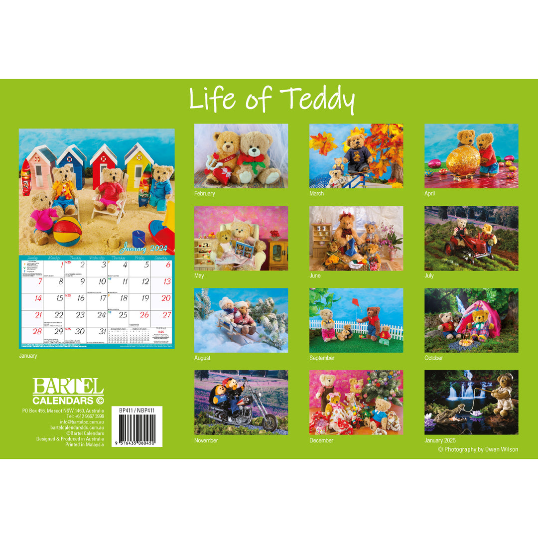 Life of Teddy - 2024 Rectangle Wall Calendar 13 Months Planner Adventures Gift