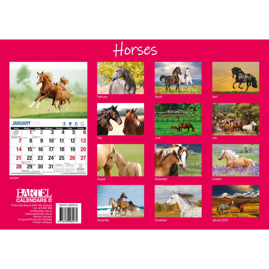 Horses - 2024 Rectangle Wall Calendar 16 Months Animal Planner New Year Gift