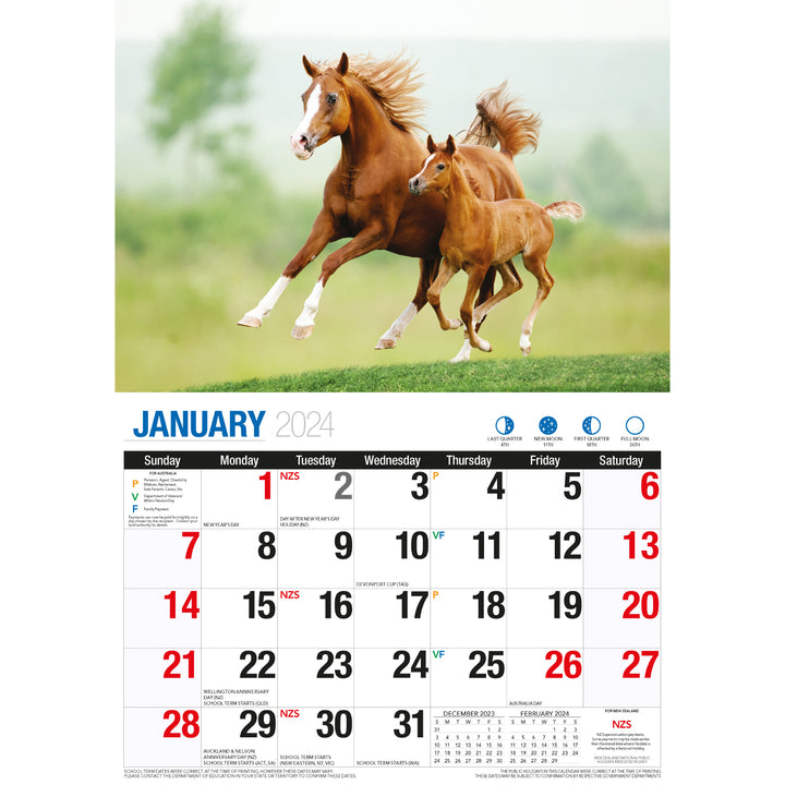 Horses - 2024 Rectangle Wall Calendar 16 Months Animal Planner New Year Gift