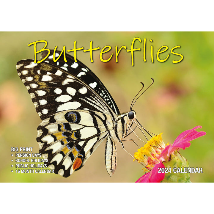 Butterflies - 2024 Rectangle Wall Calendar 16 Months Colorful Butterfly Photos