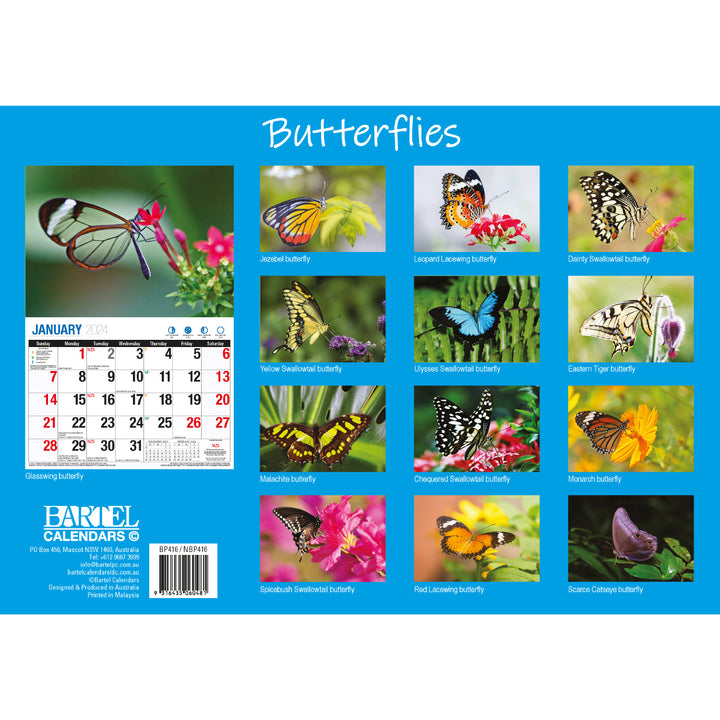 Butterflies - 2024 Rectangle Wall Calendar 16 Months Colorful Butterfly Photos