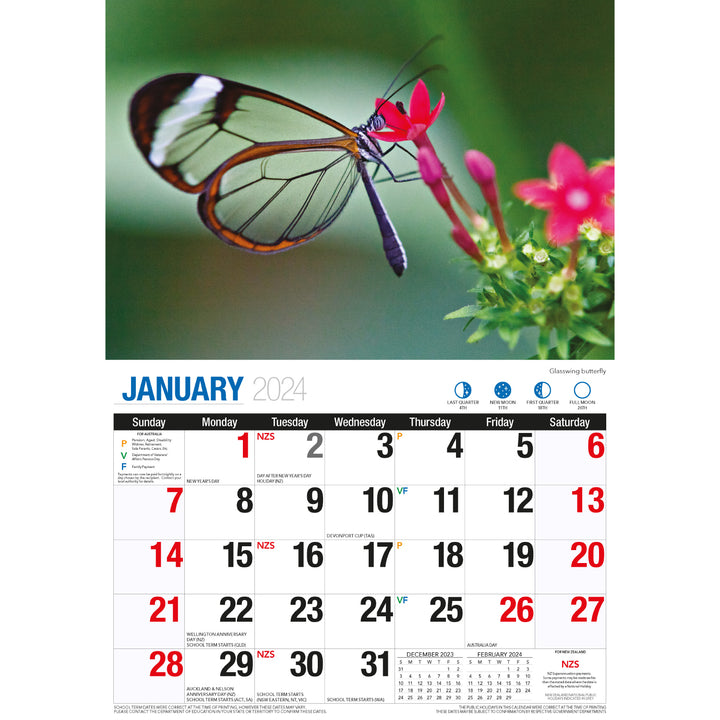 Butterflies - 2024 Rectangle Wall Calendar 16 Months Colorful Butterfly Photos