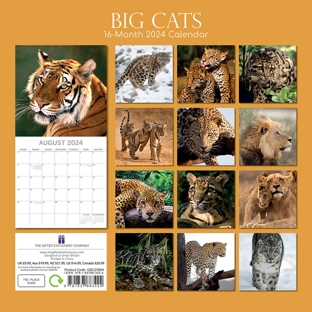 Big Cats - 2024 Square Wall Calendar Wildlife Animals 16 Months Premium Planner