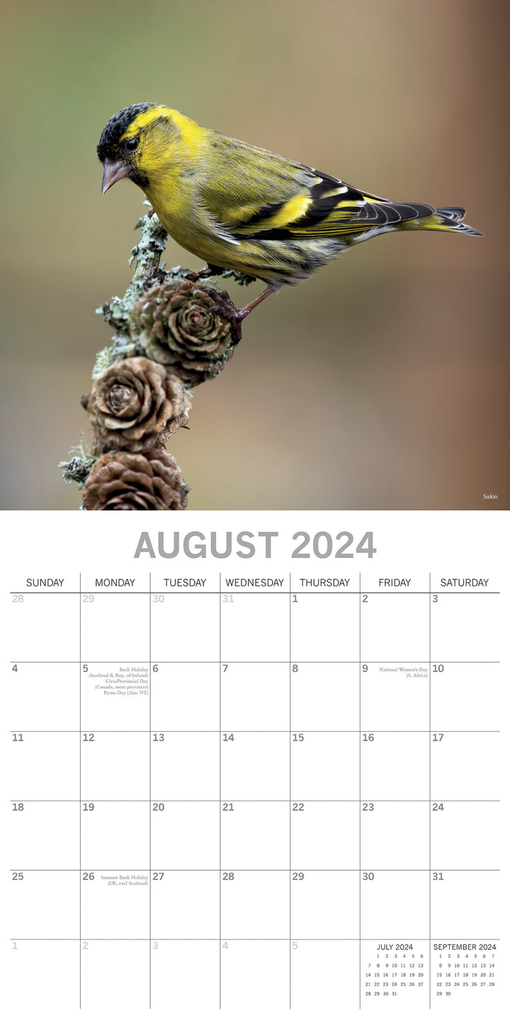 Birds - 2024 Square Wall Calendar Pets Animals 16 Months Premium Planner Gift