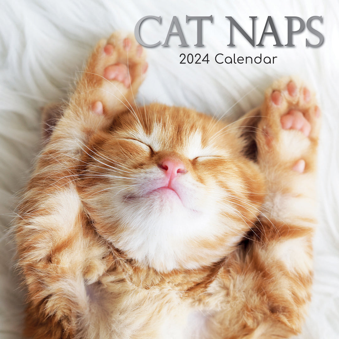 Cat Naps - 2024 Square Wall Calendar Pets Animals 16 Months Premium Planner Gift