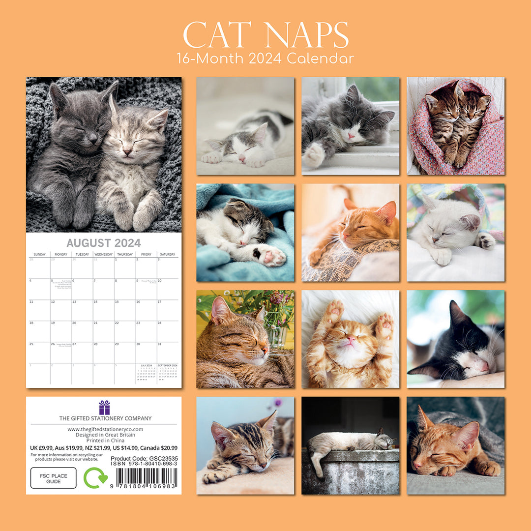 Cat Naps - 2024 Square Wall Calendar Pets Animals 16 Months Premium Planner Gift