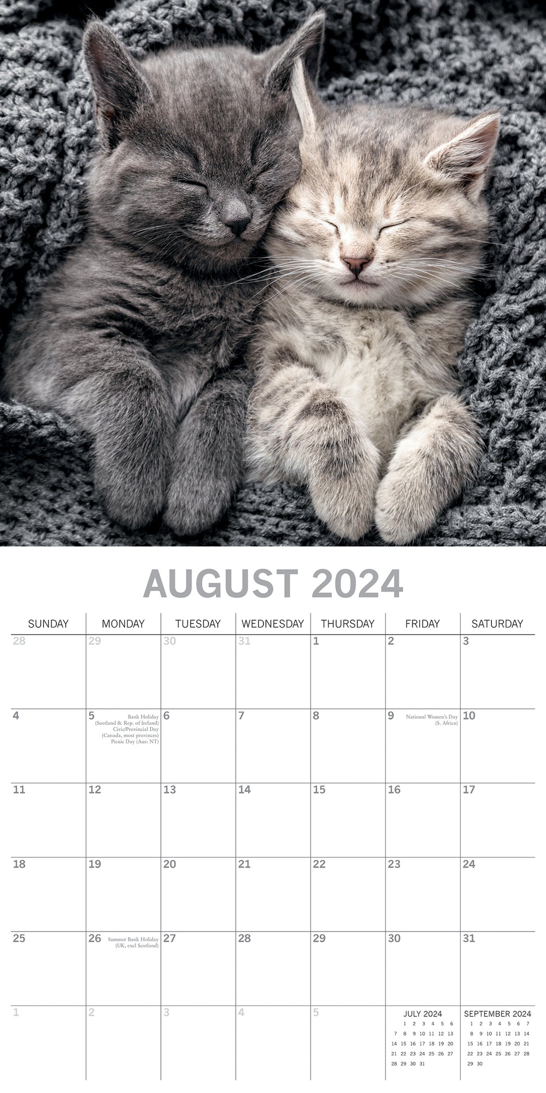 Cat Naps - 2024 Square Wall Calendar Pets Animals 16 Months Premium Planner Gift