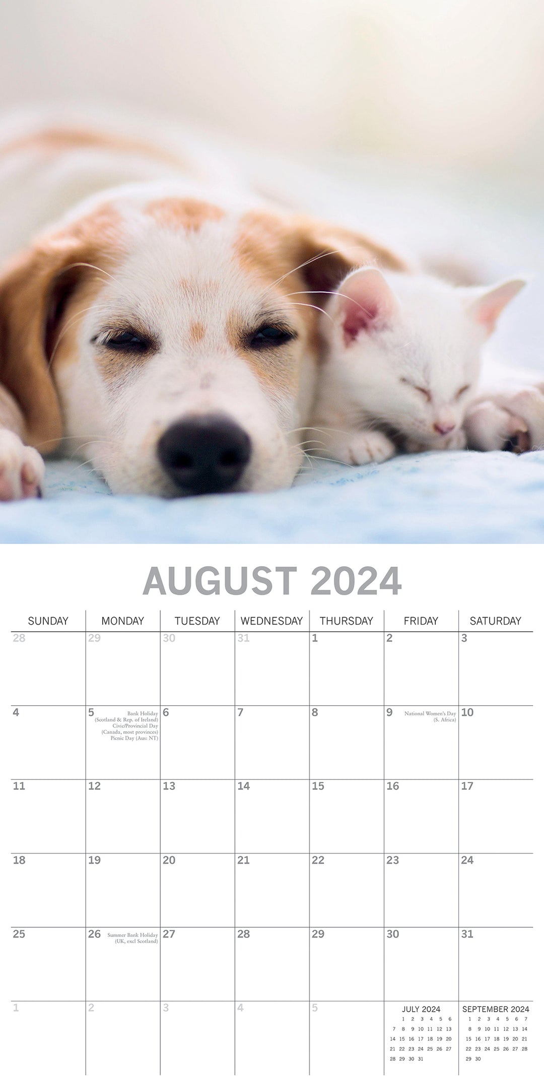 Cats & Dogs - 2024 Square Wall Calendar Pets Animals 16 Months Premium Planner