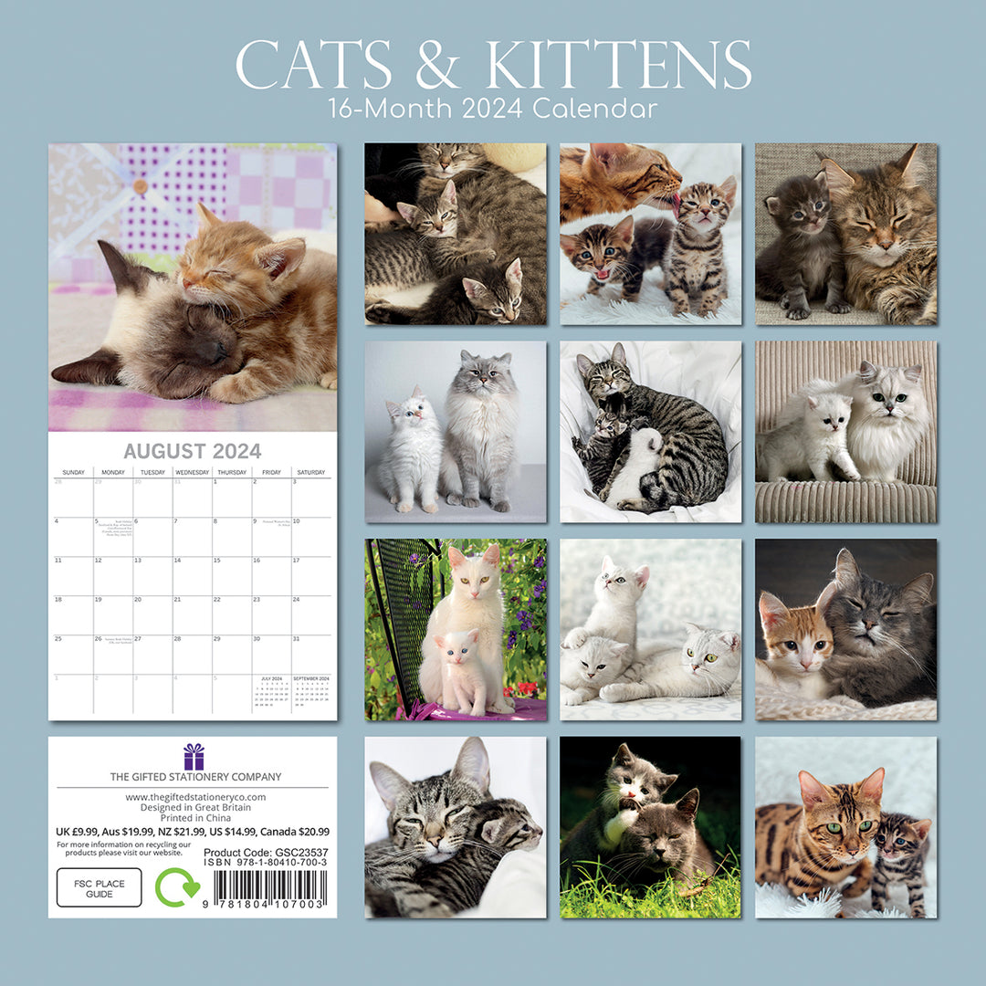 Cats & Kittens 2024 Square Wall Calendar Pets Animals 16 Months Premium Planner