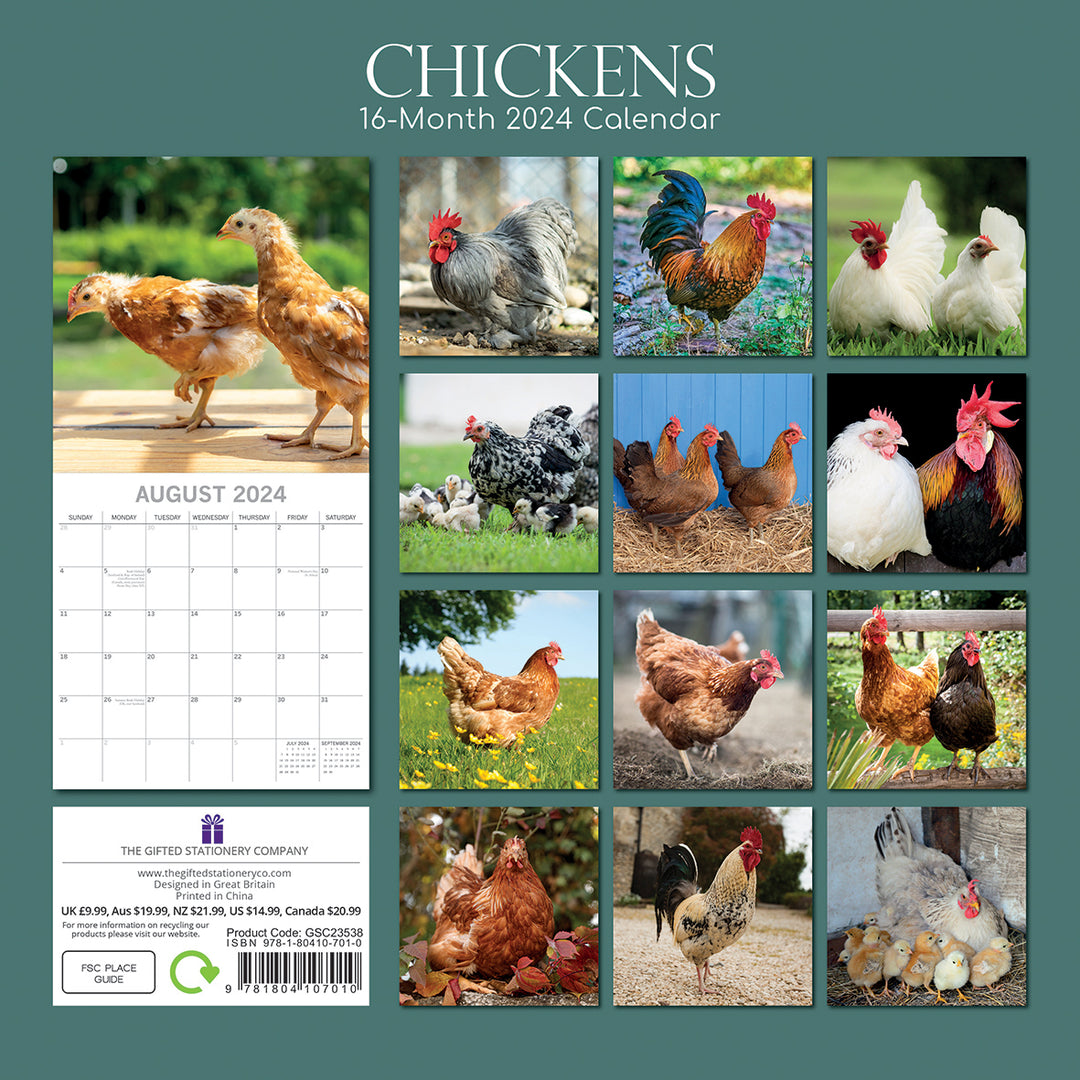 Chickens - 2024 Square Wall Calendar Pets Animals 16 Months Premium Planner Gift