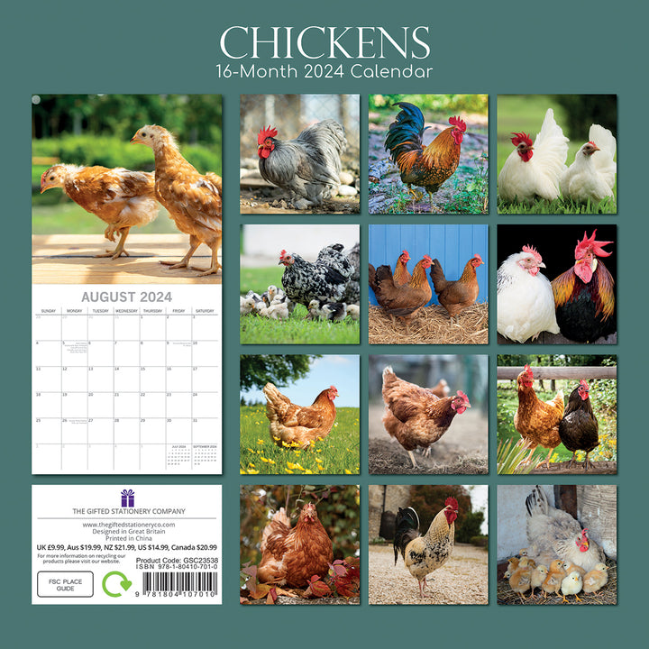 Chickens - 2024 Square Wall Calendar Pets Animals 16 Months Premium Planner Gift