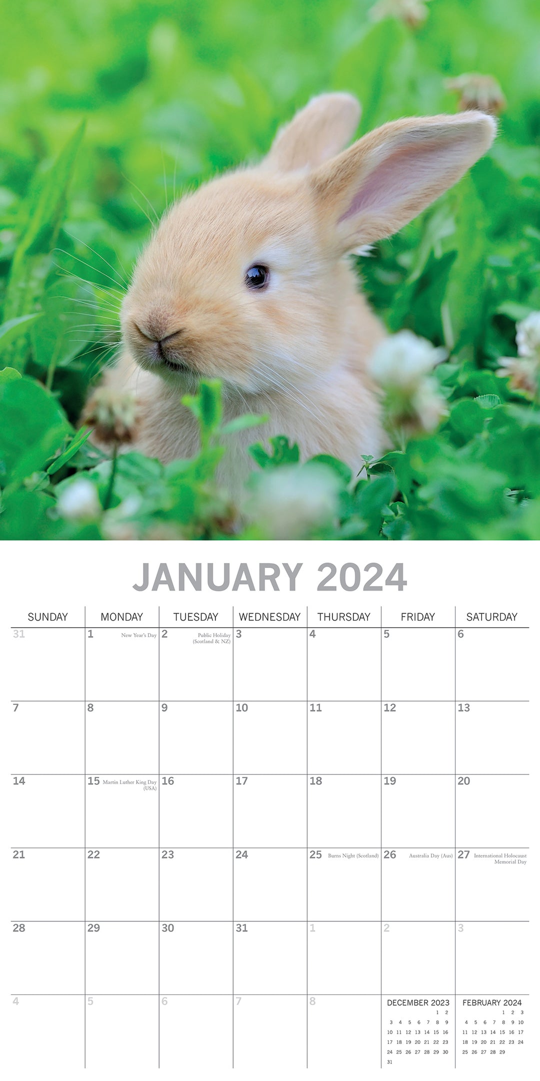 Cute Bunnies - 2024 Square Wall Calendar Pets Animals 16 Months Premium Planner