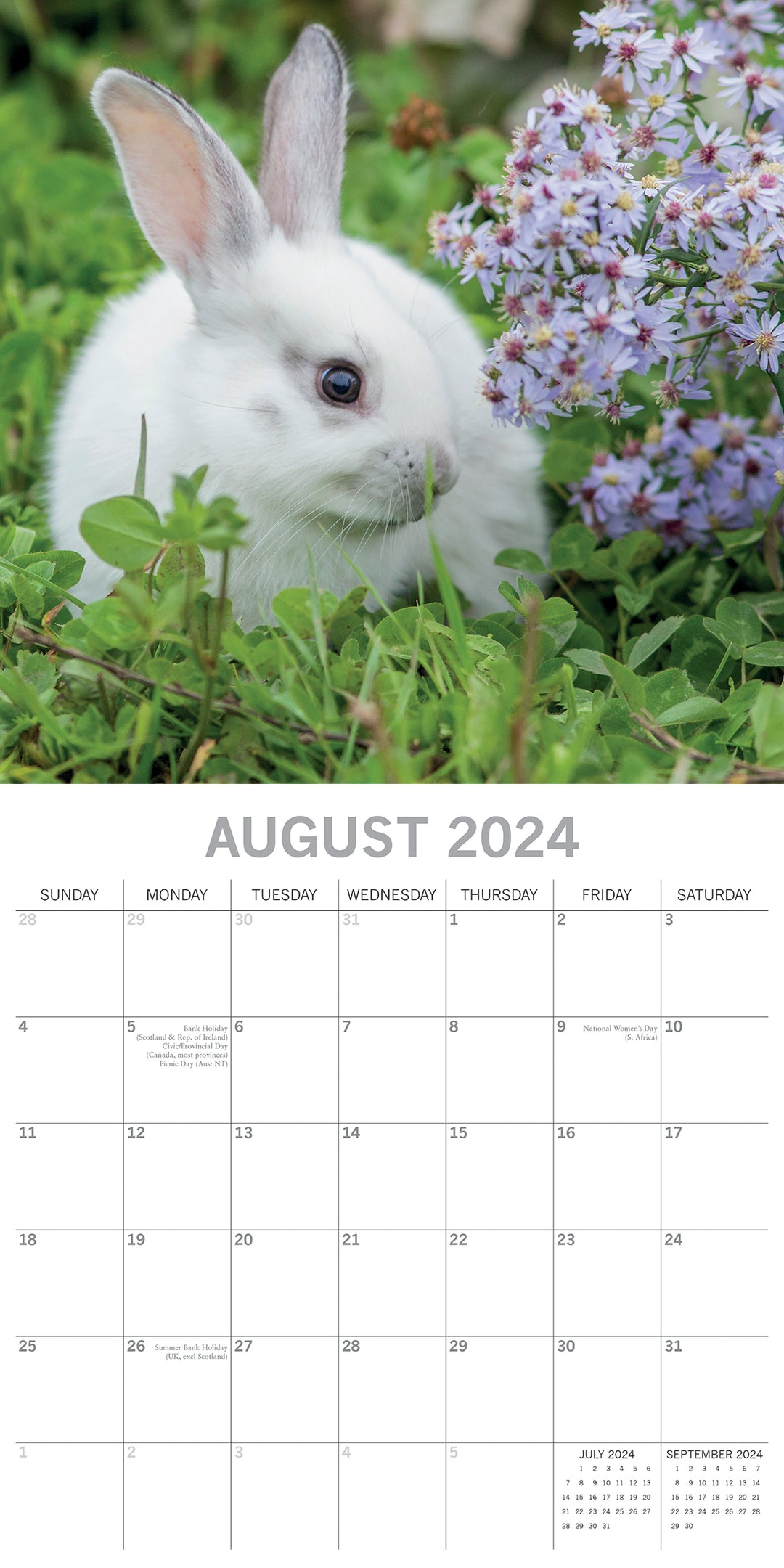 Cute Bunnies - 2024 Square Wall Calendar Pets Animals 16 Months Premium Planner