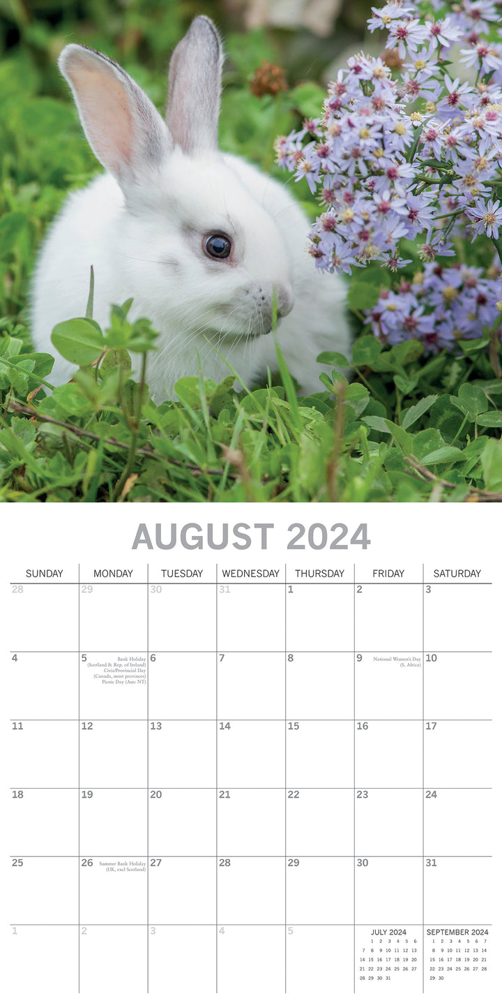 Cute Bunnies - 2024 Square Wall Calendar Pets Animals 16 Months Premium Planner