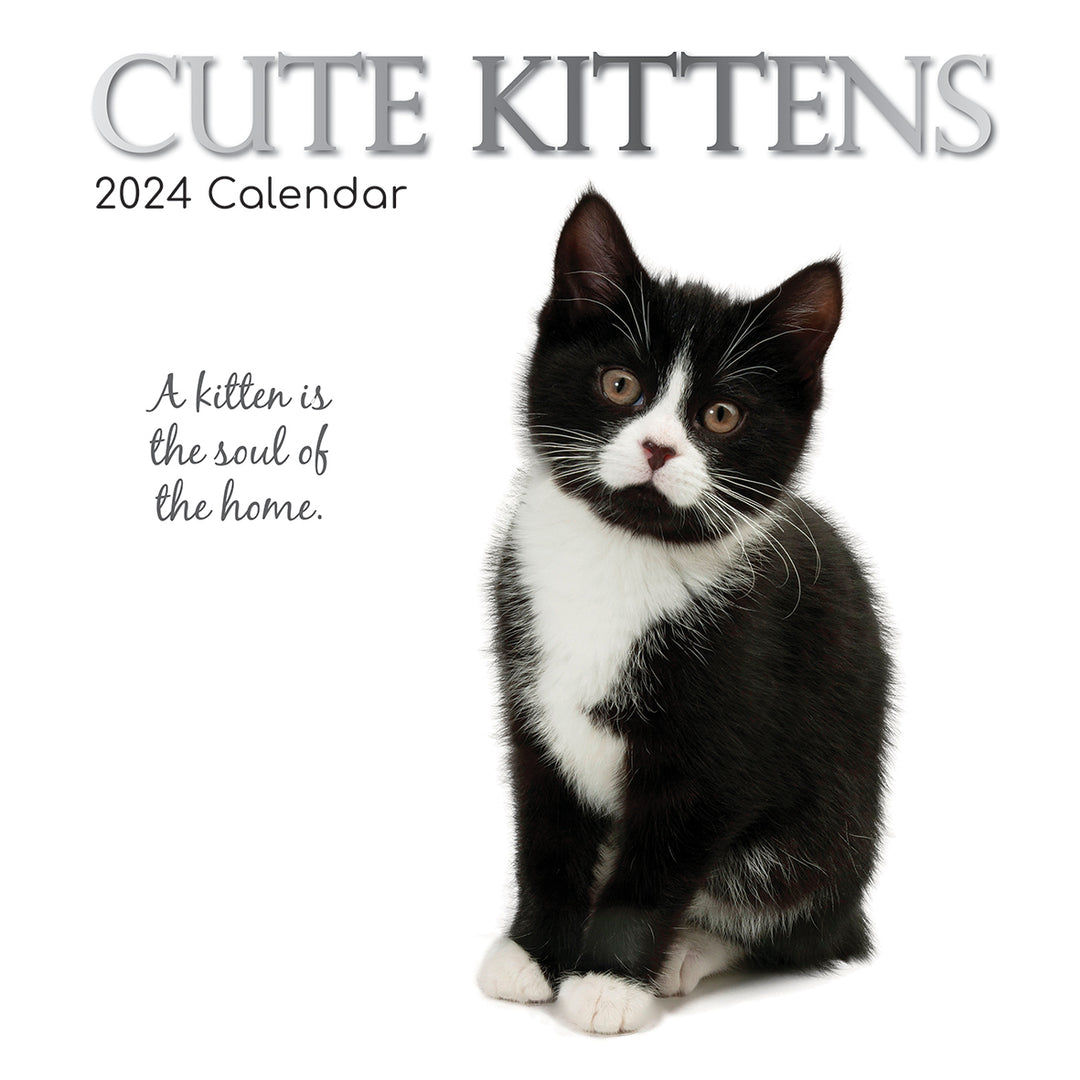 Cute Kittens - 2024 Square Wall Calendar Pets Animals 16 Months Premium Planner