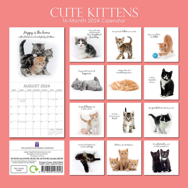 Cute Kittens - 2024 Square Wall Calendar Pets Animals 16 Months Premium Planner