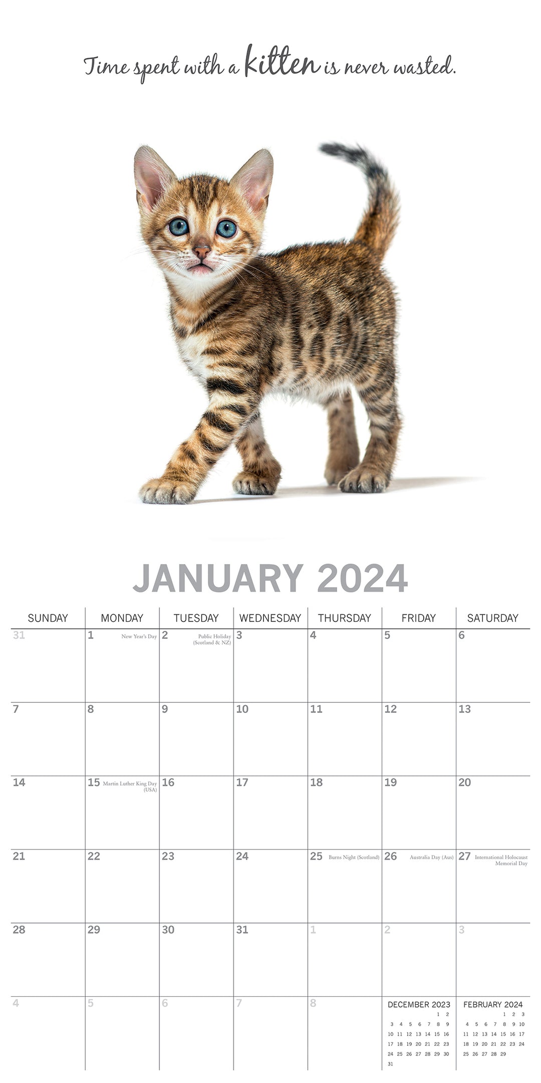 Cute Kittens - 2024 Square Wall Calendar Pets Animals 16 Months Premium Planner