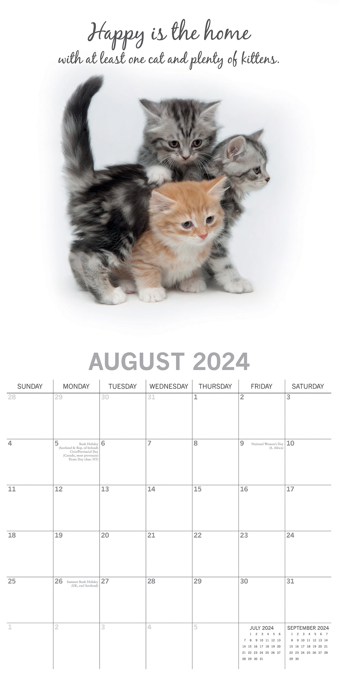 Cute Kittens - 2024 Square Wall Calendar Pets Animals 16 Months Premium Planner