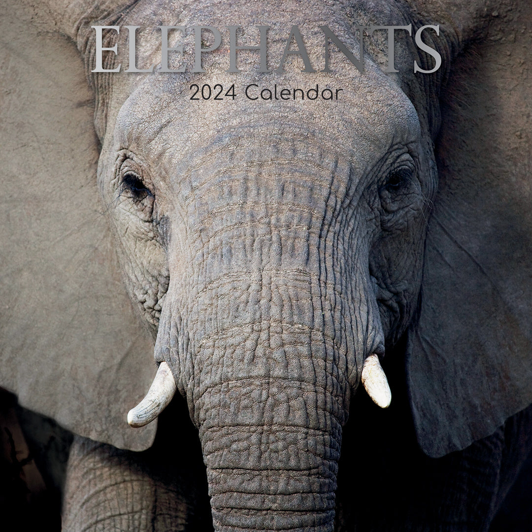 Elephants 2024 Square Wall Calendar Pets Animals 16 Months New Year Planner Gift