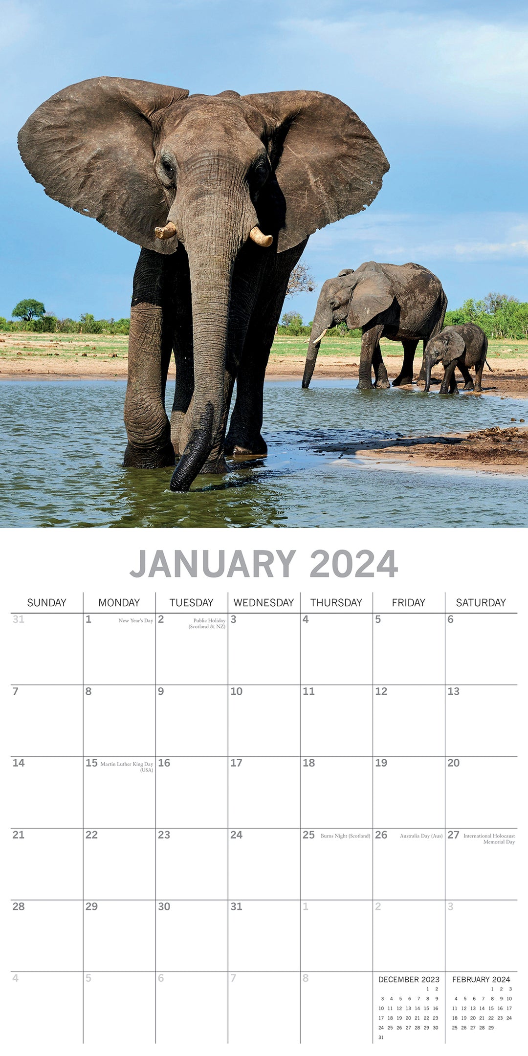 Elephants 2024 Square Wall Calendar Pets Animals 16 Months New Year Planner Gift