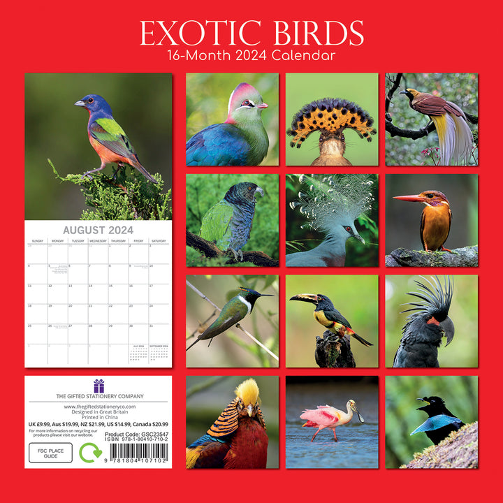 Exotic Birds - 2024 Square Wall Calendar Pets Animals 16 Months Premium Planner