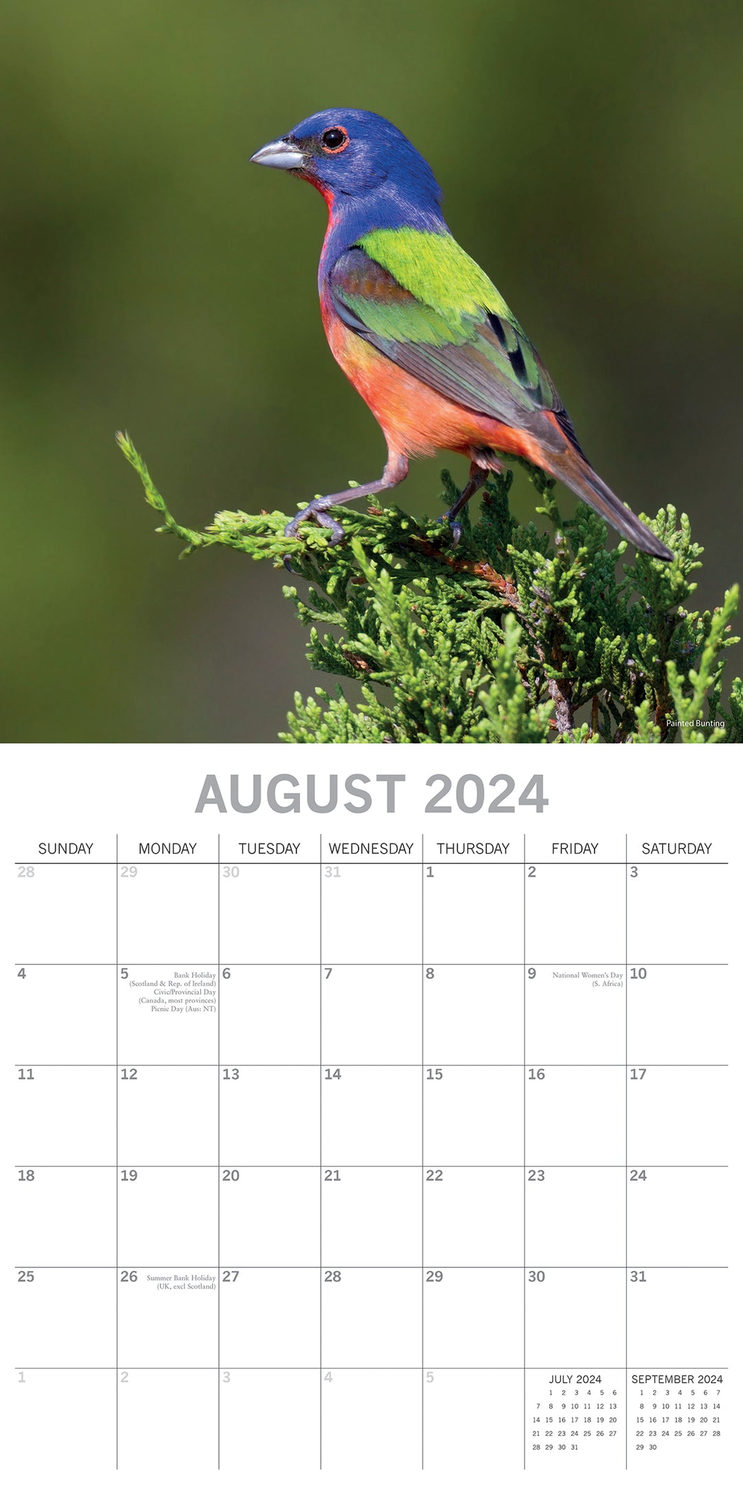 Exotic Birds - 2024 Square Wall Calendar Pets Animals 16 Months Premium Planner