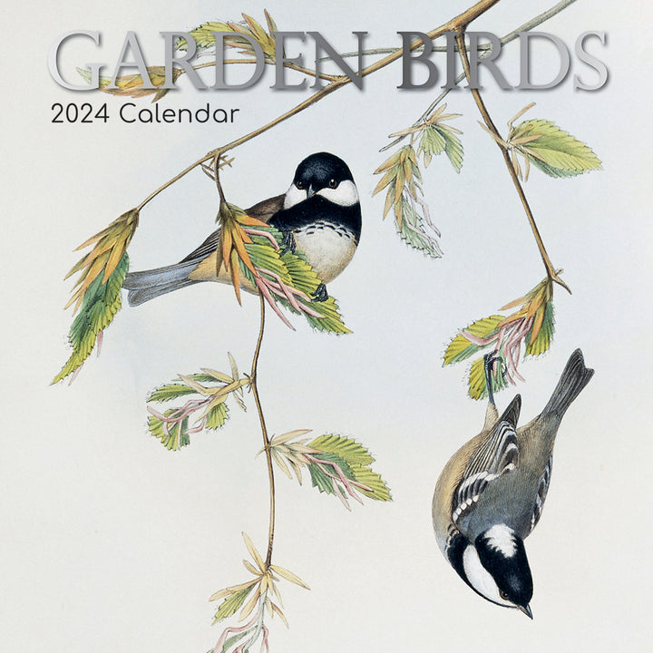 Illustrated Garden Birds - 2024 Square Wall Calendar Pets Animals 16 Months