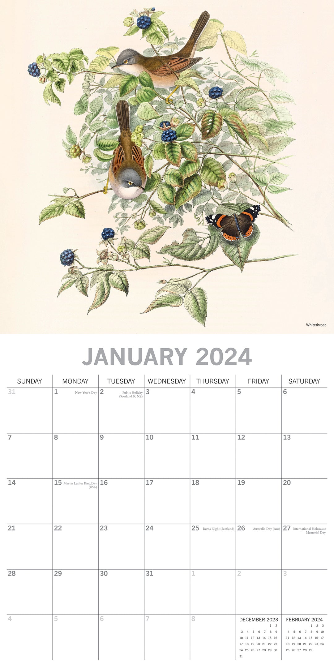 Illustrated Garden Birds - 2024 Square Wall Calendar Pets Animals 16 Months