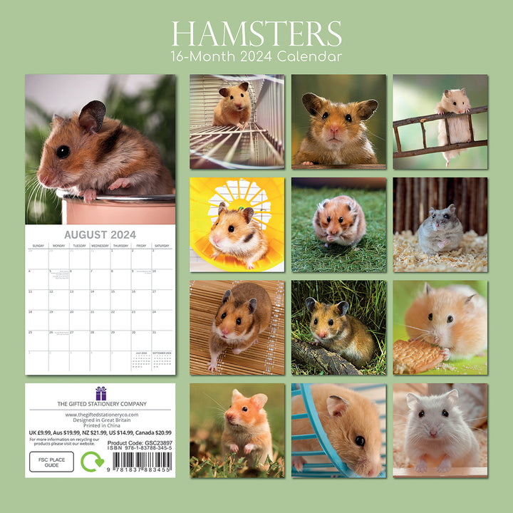 Hamsters - 2024 Square Wall Calendar Cute Pets Animals 16 Months Premium Planner