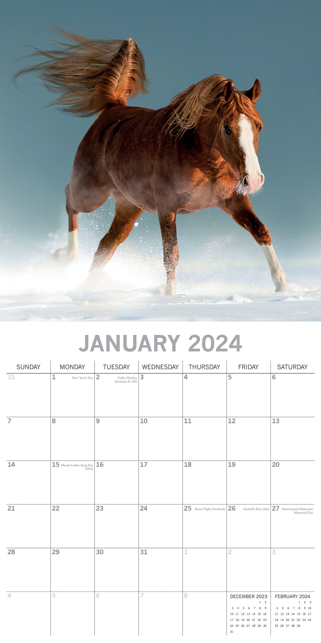 Horses - 2024 Square Wall Calendar Pets Animals 16 Months New Year Planner Gift