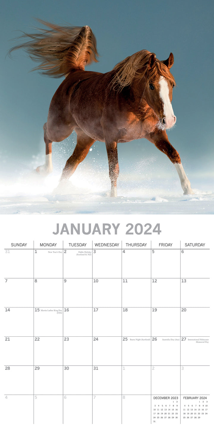 Horses - 2024 Square Wall Calendar Pets Animals 16 Months New Year Planner Gift