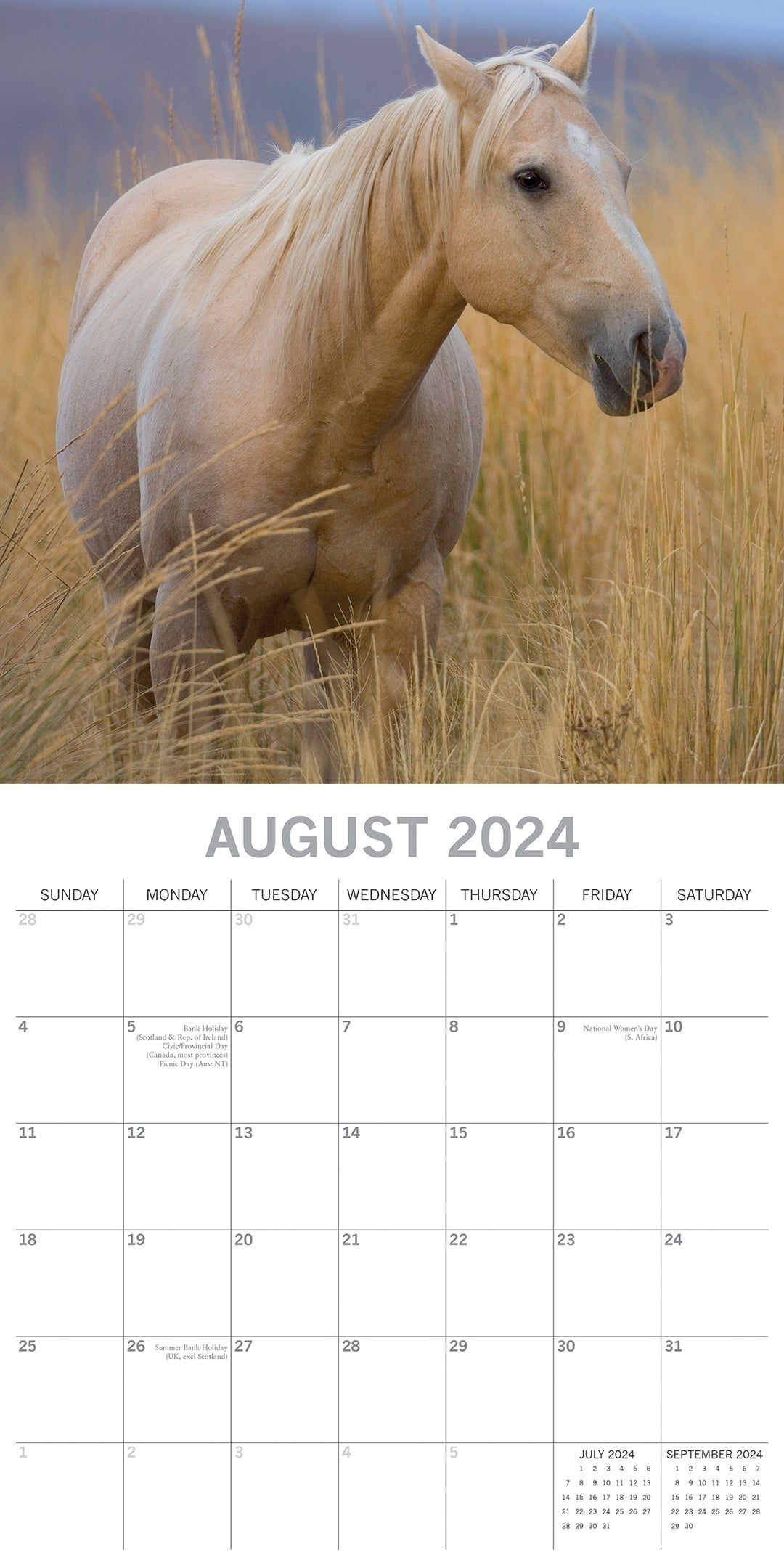 Horses - 2024 Square Wall Calendar Pets Animals 16 Months New Year Planner Gift