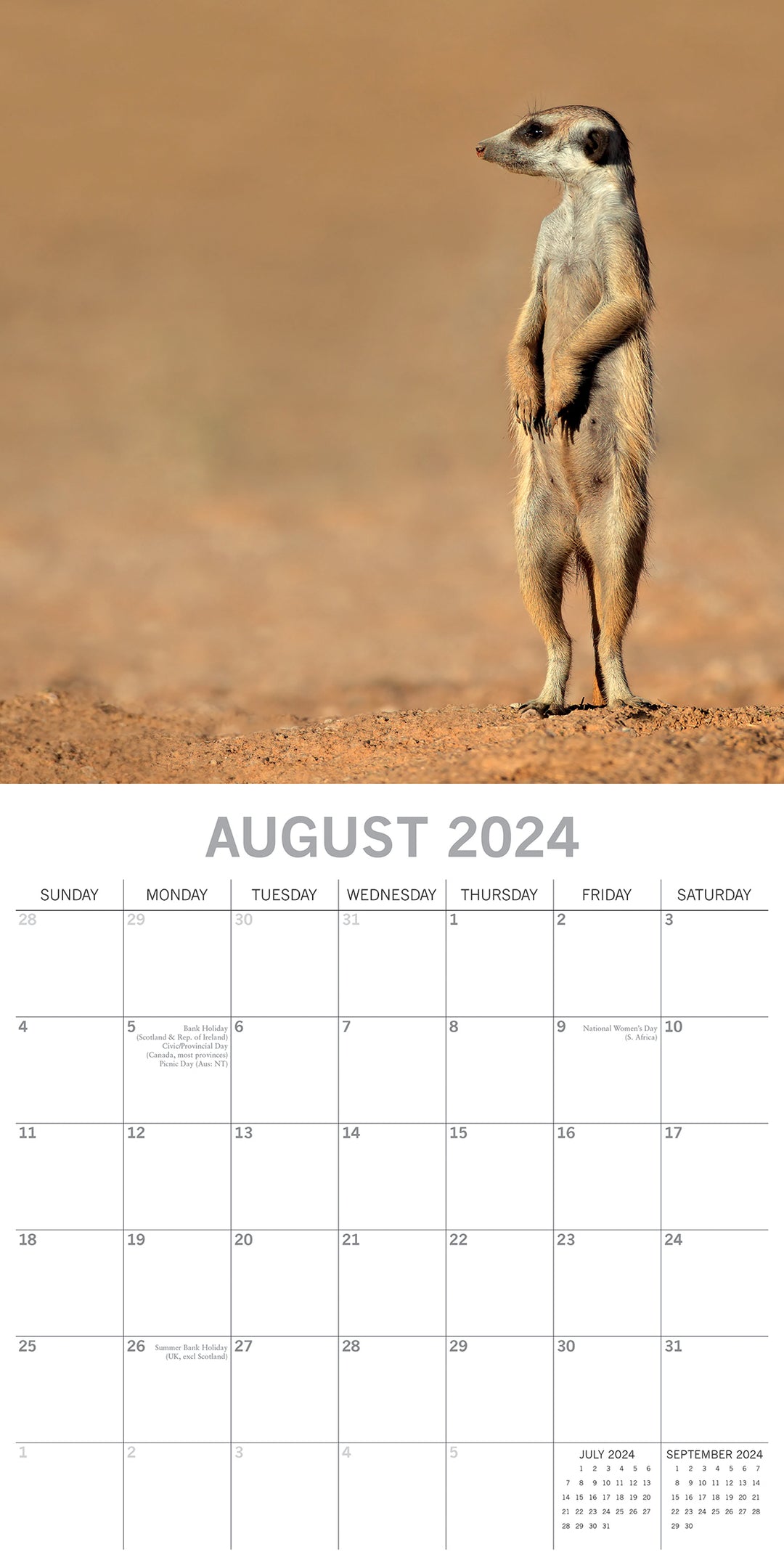 Meerkats - 2024 Square Wall Calendar Pets Animals 16 Months Premium Planner Gift