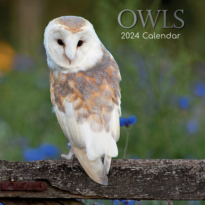 Owls 2024 Square Wall Calendar Pets Animals 16 Months New Year Christmas Planner