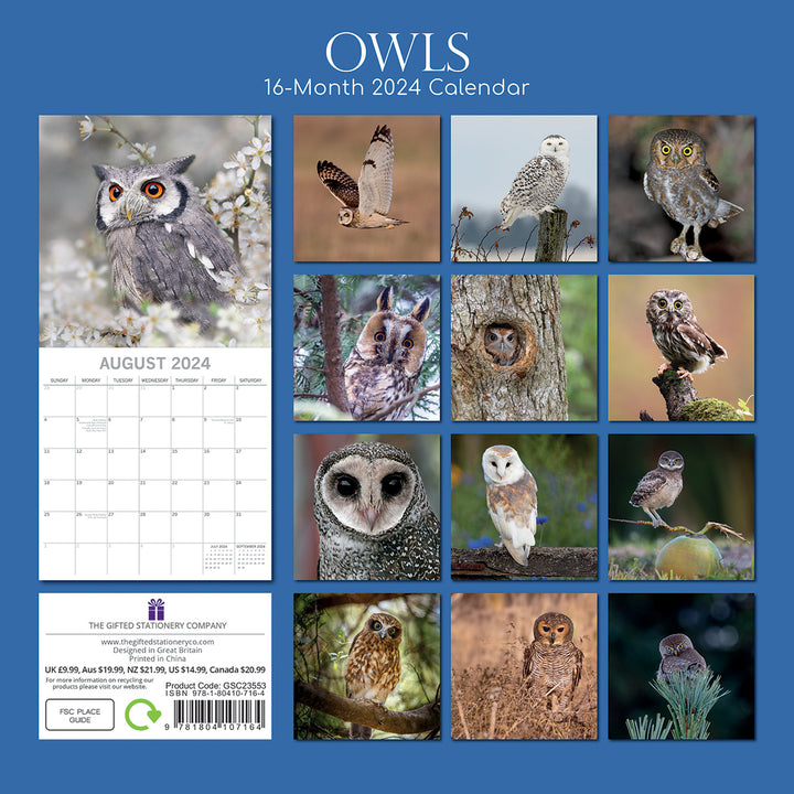 Owls 2024 Square Wall Calendar Pets Animals 16 Months New Year Christmas Planner