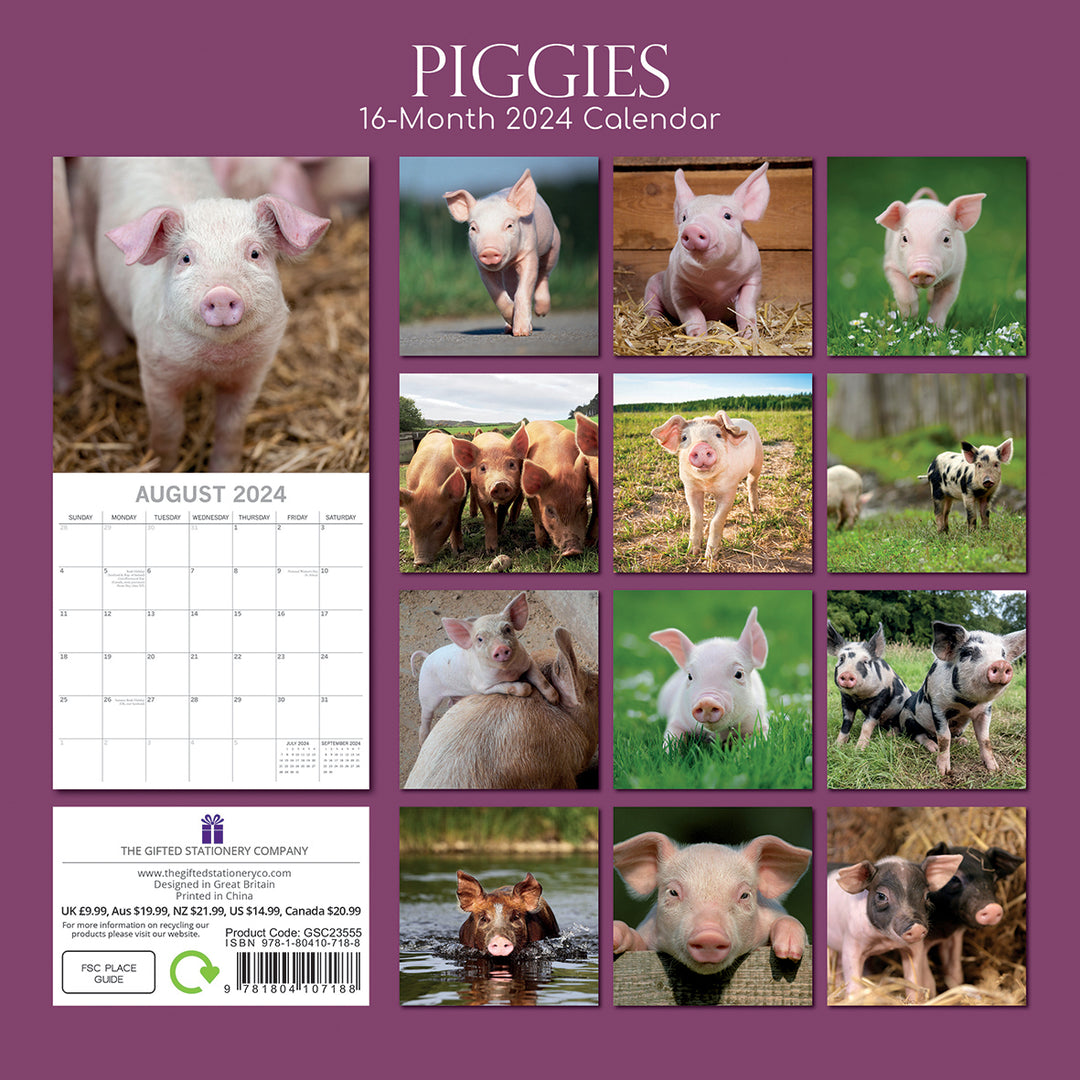 Piggies - 2024 Square Wall Calendar Pets Animals 16 Months New Year Gift Planner