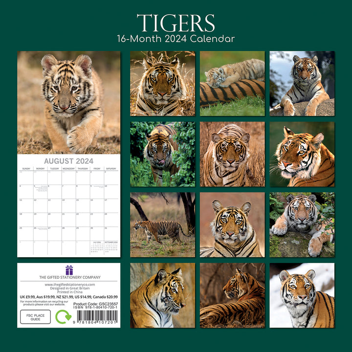 Tigers - 2024 Square Wall Calendar Pets Animals 16 Months New Year Gift Planner