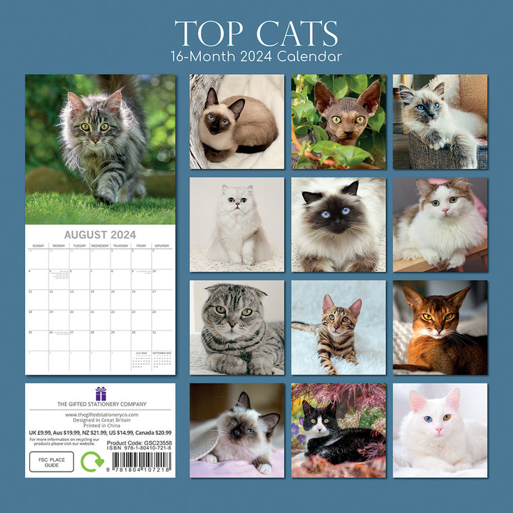 Top Cats - 2024 Square Wall Calendar Pets Animals 16 Months Premium Planner Gift