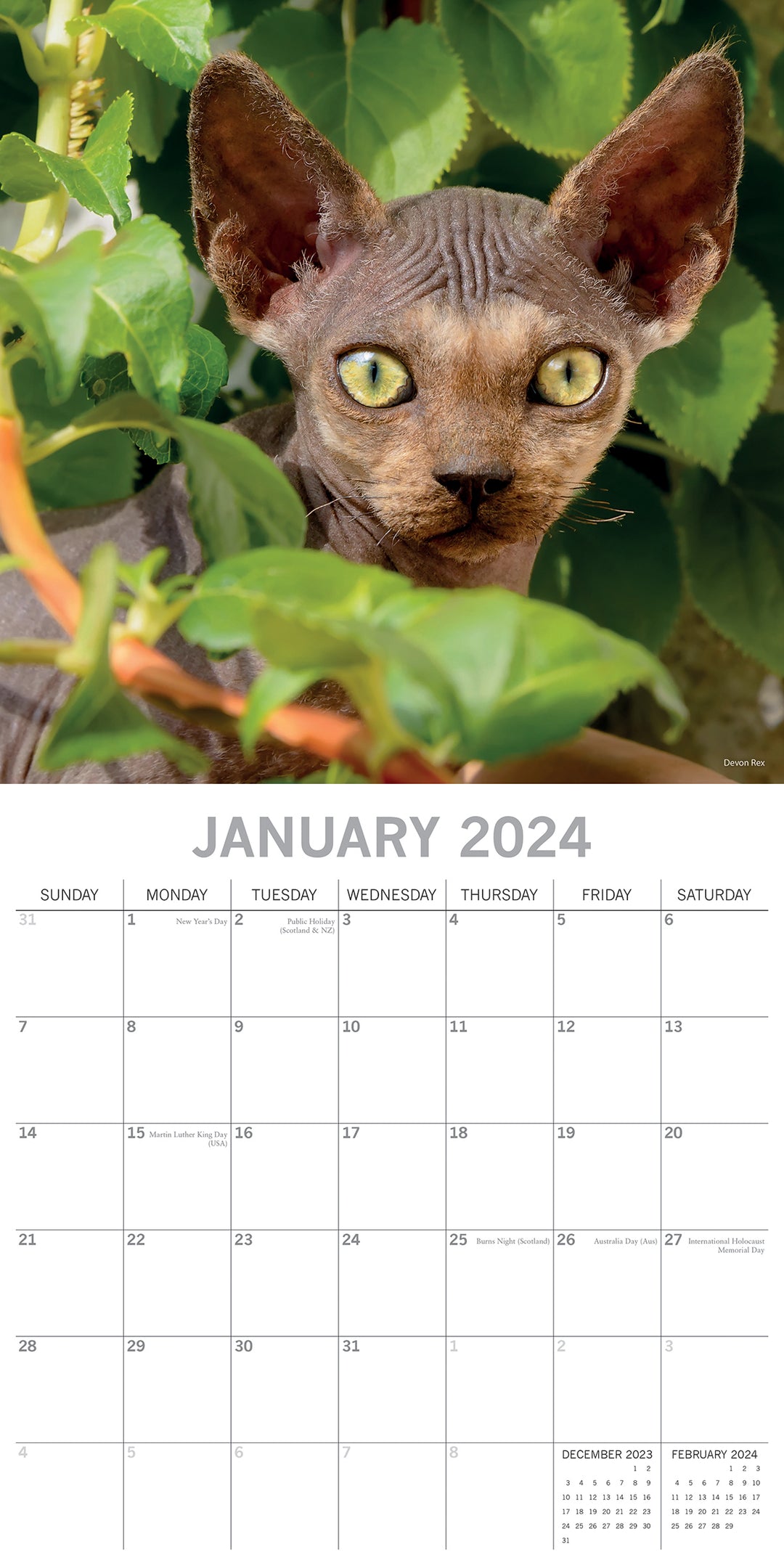 Top Cats - 2024 Square Wall Calendar Pets Animals 16 Months Premium Planner Gift