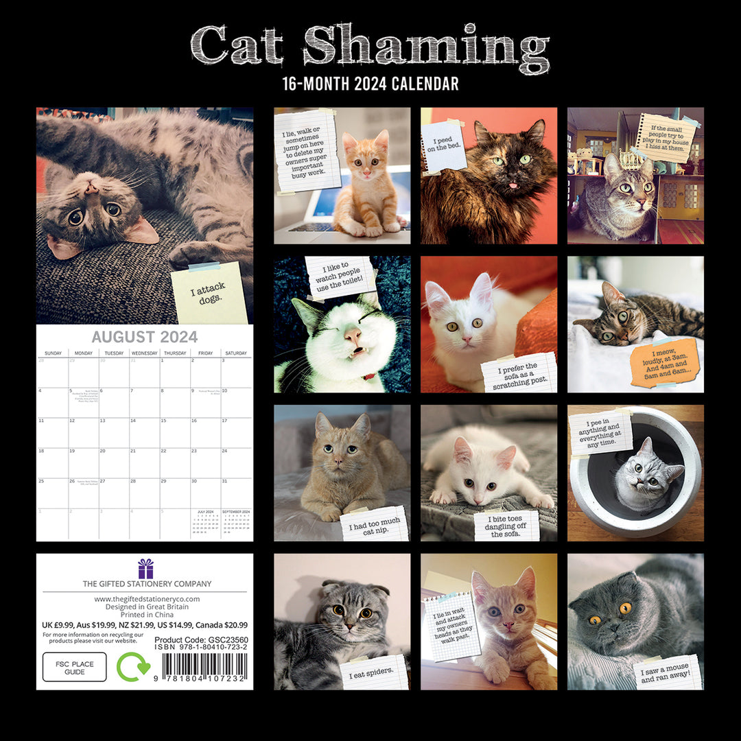 Cat Shaming - 2024 Square Wall Calendar Pets Animals 16 Months Premium Planner