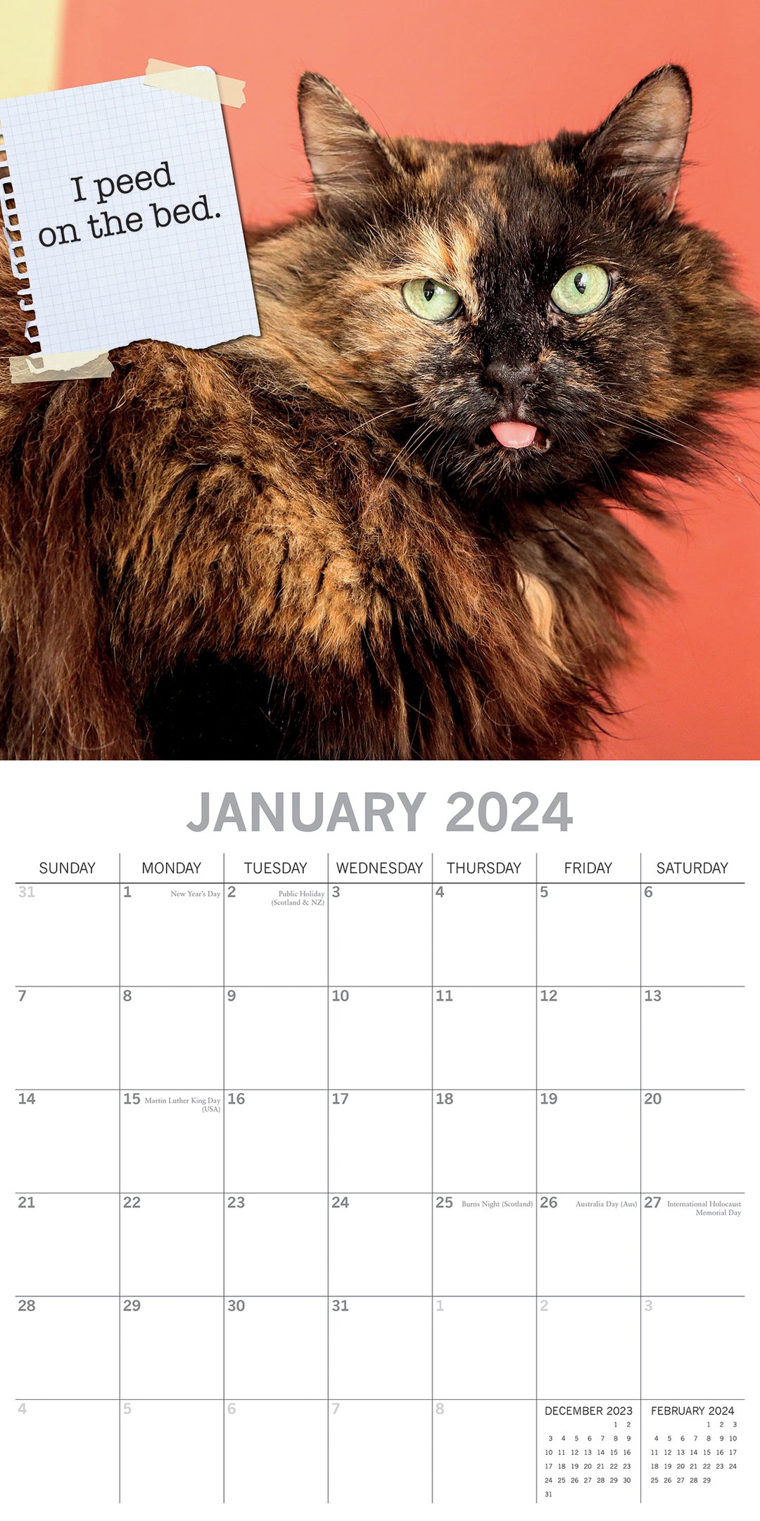 Cat Shaming - 2024 Square Wall Calendar Pets Animals 16 Months Premium Planner