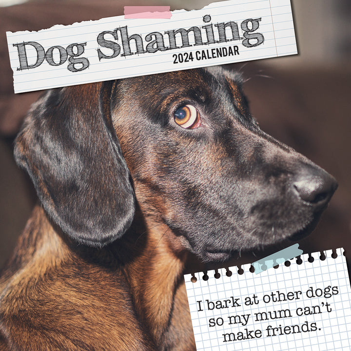 Dog Shaming - 2024 Square Wall Calendar Pets Animals 16 Months Premium Planner