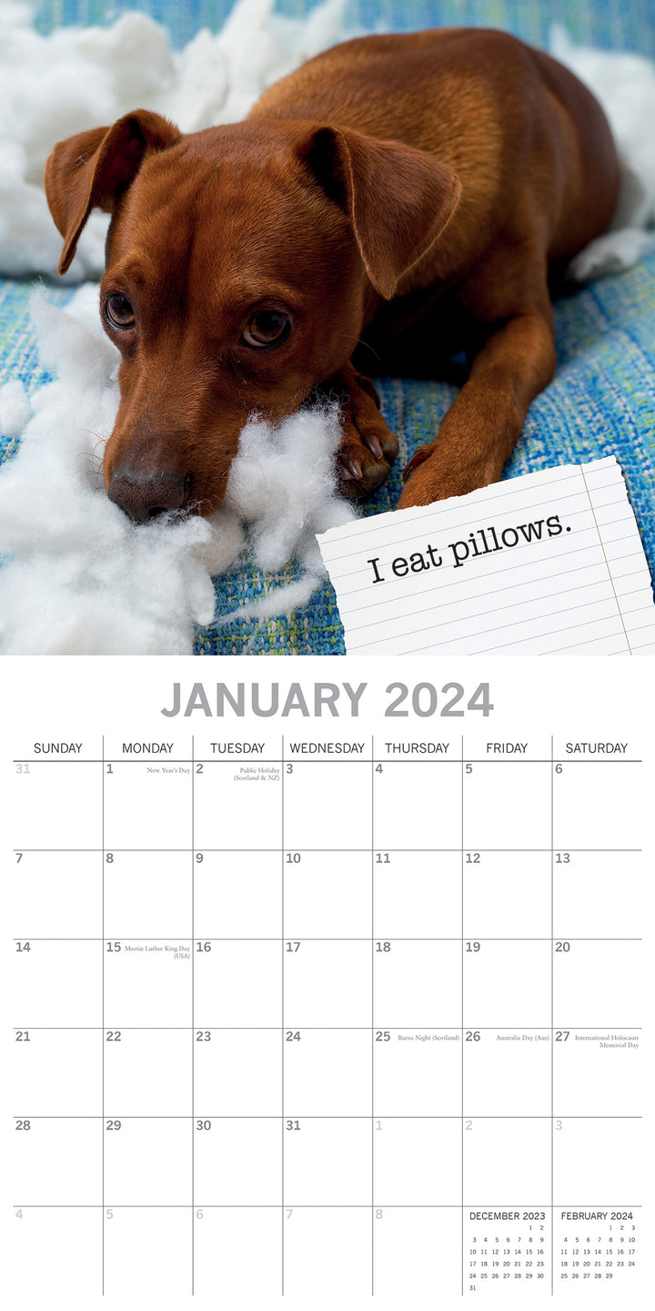 Dog Shaming - 2024 Square Wall Calendar Pets Animals 16 Months Premium Planner